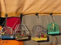 IMG_6480