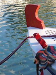 IMG_6481