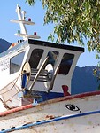 IMG_6483