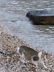 IMG_6487