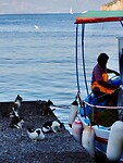 IMG_6489