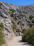 IMG_6494