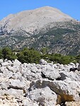 IMG_6495