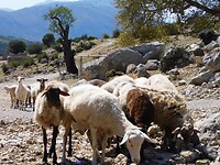 IMG_6497