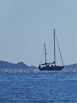 IMG_6516
