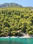 Kalamos…..