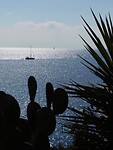De zilveren zee…..
