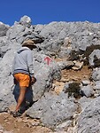 IMG_6582
