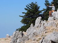 IMG_6590
