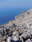 IMG_6597