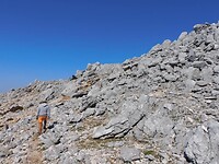 IMG_6598