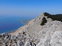 IMG_6599