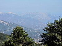 IMG_6600