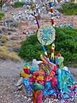 IMG_6608
