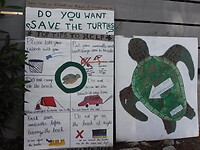 IMG_6630