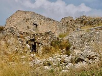 IMG_6660