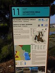 IMG_6665