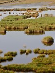 Livadi Wetland…..