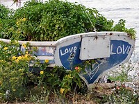 IMG_6688