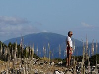 IMG_6700