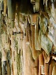 IMG_6705