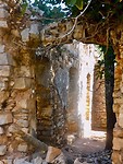 IMG_6710
