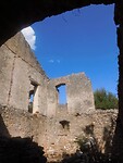 IMG_6711