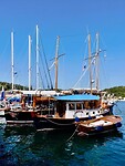 IMG_6819