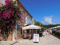 IMG_6822