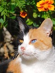 IMG_7014