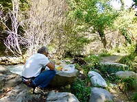 Picknicken…..