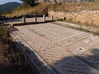 IMG_7083