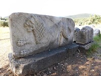 IMG_7088