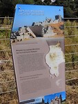 IMG_7101