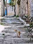 Kastania…..