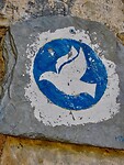 IMG_7209