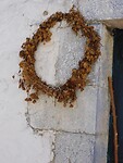 IMG_7230