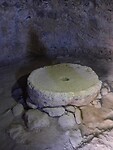 IMG_7251
