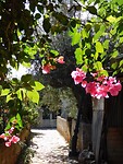 Kardamyli…..