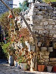 IMG_7302
