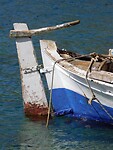 IMG_7377