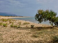 IMG_7521