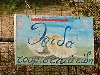 IMG_7528