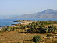 IMG_7529