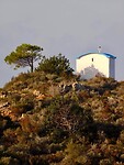 IMG_7530