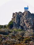 IMG_7534