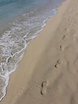 IMG_7537