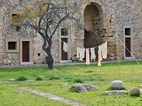 IMG_7596