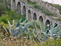 IMG_7600