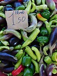 IMG_7620